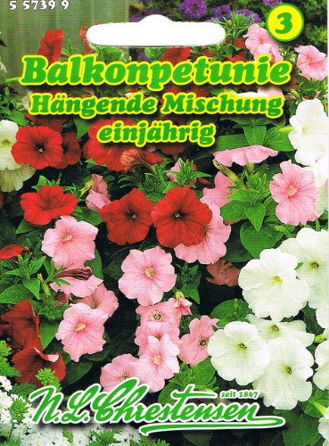 Balkonpetunie \'hängende Mischung\' , einjährig, wichtigste Balkon-, Beet- und Gruppenpflanze, \'Petunia pendula\' Petunie